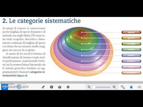 8.2  Categorie sistematiche  --   8.3 i 3 Domini dei viventi