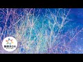 寝る前に聴く曲【α波】で本当に疲れが取れる熟睡モードへ！安らぎのリラックスBGM ２