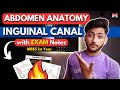Abdomen Anatomy- Inguinal Canal | MBBS 1st Year | Full Explanation with Exam Notes | MBBS World