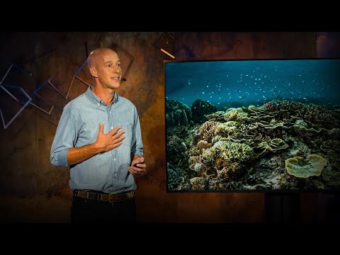 How a handful of fishing villages sparked a marine conservation revolution | Alasdair Harris thumbnail