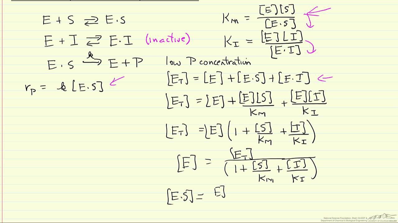 Derivation of Enzyme Kinetics for Competitive Inhibition