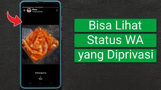 Cara Melihat Status WhatsApp yang Diprivasi dari Kita