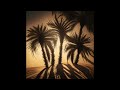 dance of palm shadows танец пальмовых теней Зажигательная музыка