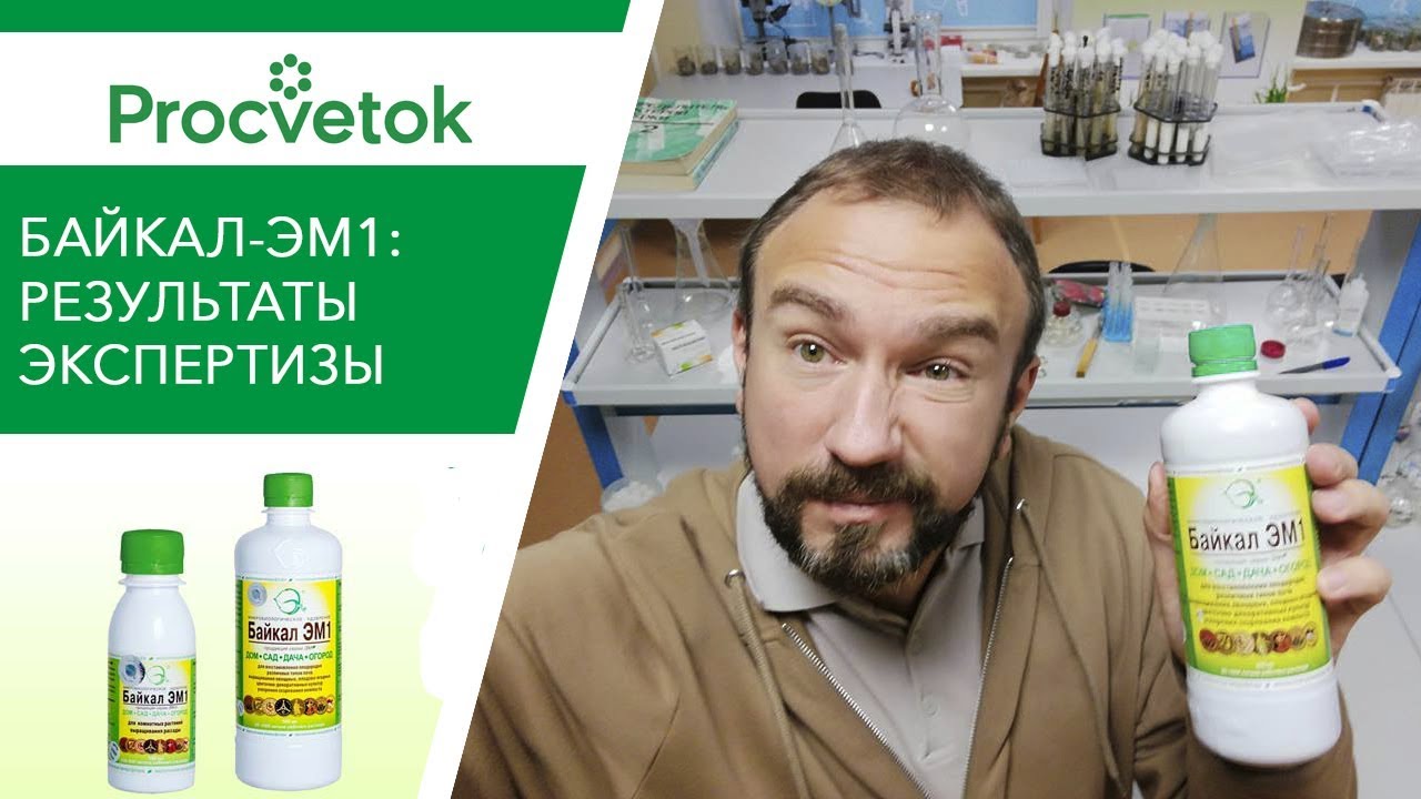 Байкал-ЭМ1: РАЗОБЛАЧЕНИЕ биопрепарата микробиологом