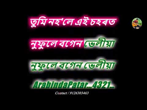 বগেন ভেলীয়া | Bougainvillea karaoke | Achurjya Borpatra | Scrolling Lyrics