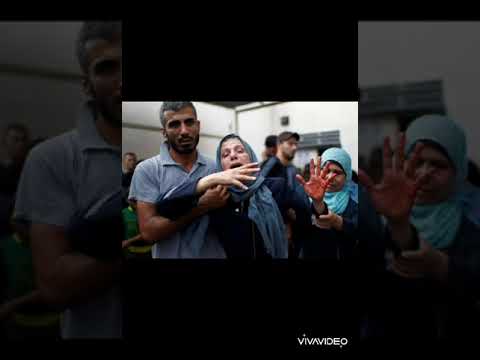 الأقصى نادى والندا غالي ويهون علشانه العمر لو غالي