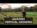 How to Build a Growing Arch Tunnel | Add Vertical Growing Space in your Garden
