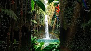 🍃 Relaxing Waterfall in the Forest | Peaceful Nature Sounds &amp; Green Scenery 🌿 #beautifulnature