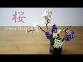 【生け花】お家でお花見【ikebana】桜/ヒヤシンス/水仙/3月９日/Cherry blossom/櫻花/Fleurs de cerisier/Flores de cerejeira/サクラサケ！