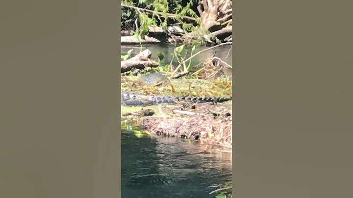 #adventures