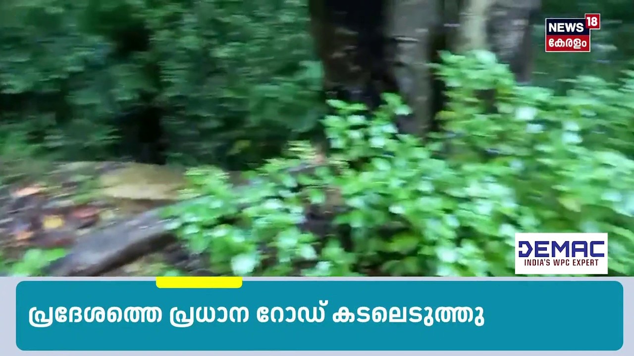 വിഴിഞ്ഞത്ത് ശക്തമായ മഴയിൽ ശക്തമായ മഴയിൽ വള്ളം മുങ്ങി , രണ്ടുപേരെ കാണാനില്ല | Kerala Rain Alert|N18S
