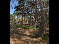 ②【国営ひたち海浜公園【チューリップ編】を堪能してみた（8K VR180＆バイノーラル録音）】第二章📺本編はVR180の8Kバージョンで公開中！→🌷[Hitachi Seaside Parkを押して‼