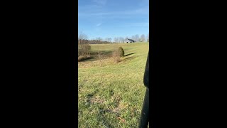 205 Lakeside Dr video tour
