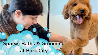Spa(w) Baths & Grooming at Bark City!