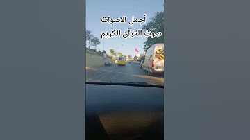 سوره النبا القارئ سعود الشريم #المصحف #راحة_نفسية #اكسبلور#الرحمن #المصحف #اكسبلور #راحة_نفسية
