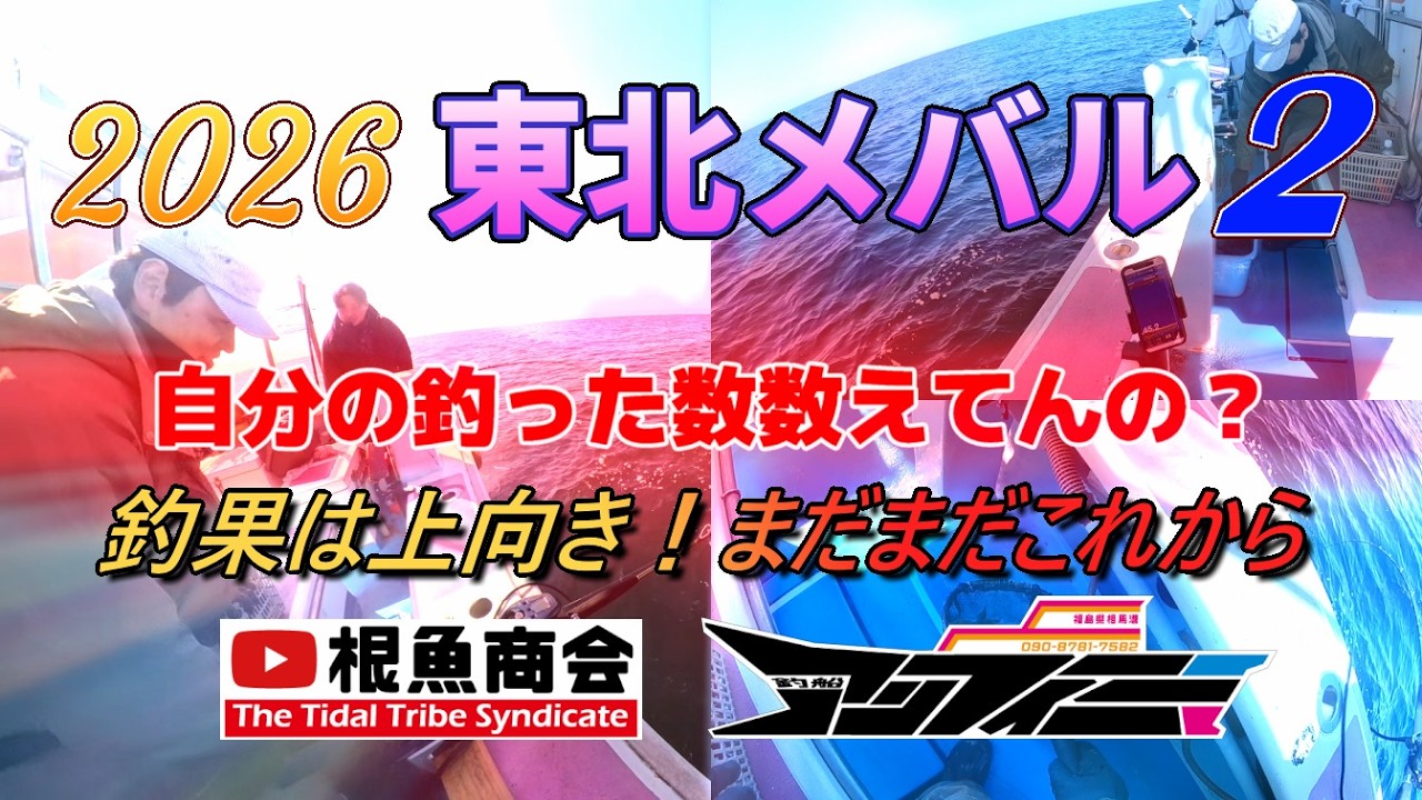 釣果上向き！まだこれから【東北メバル2】20260222釣船アンフィニー相馬港