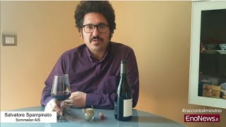 Salvo Spampinato - “Un amore di Nebbiolo”