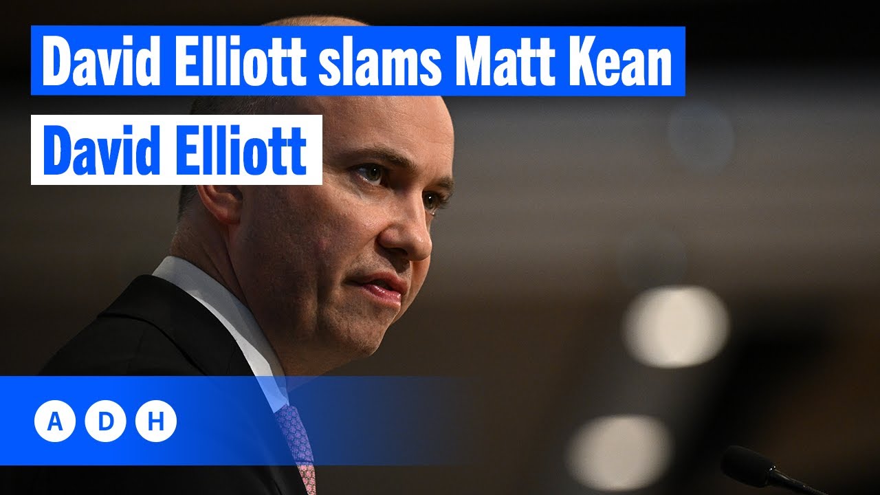 ⁣David Elliott slams Matt Kean | Alan Jones