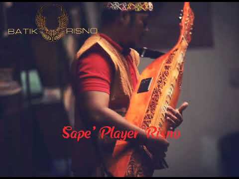 Alat Musik Sape Berasal Dari Daerah - Berbagai Alat