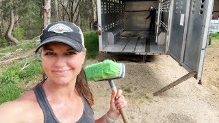 Mopping Up From The Trailer to the Turkey Blind