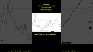📊 VIX - Market Volatility - What It’s Telling Us About the Next Market Move