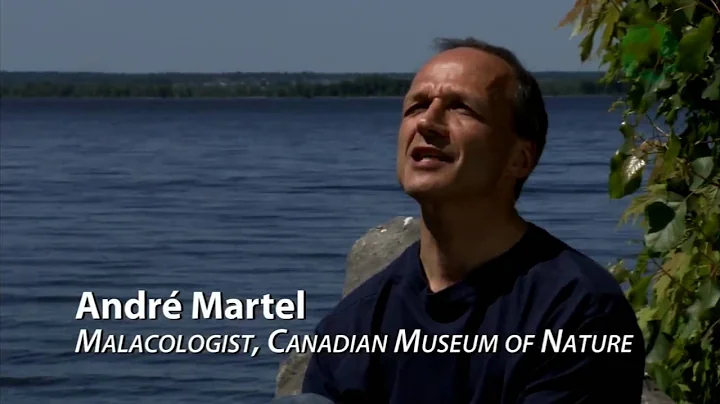 The Invaders (Invasive Species)