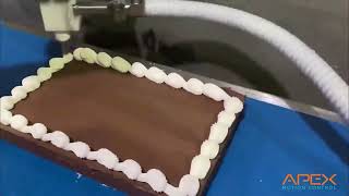 Food Automation - Decorating and Depositing || Apex Motion Control