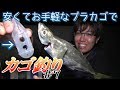 簡単＆節約！入門用にピッタリなプラカゴで夜のカゴ釣り