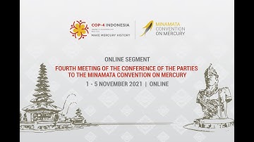 Minamata Convention COP-4, online segment, Opening Ceremony