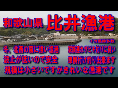 #51和歌山県比井漁港冬北西の風に強い漁港イカ墨跡多数車横付け釣り出来ます波止が低いので安全ファミリー家族連れサビキ釣りに良い堤防アジング釣りポイント釣りスポット