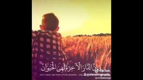 القرآن الكريم هو غذاء الروح والجسد