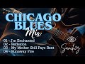 🎷 Relaxing Chicago Blues Music | Best Blues Playlist | Classic Blues Mix Vol.06 | (Prod. Sanch3z)