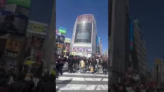 Shiyabu crossing...busiest crossingin the world