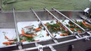 Vegetable Wash / Fruit Wash - Spray Wash Conveyor - CharliesMachineandSupply.com