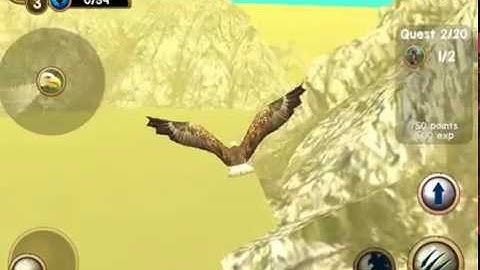 Wild Eagle Sim 3D iOS Gameplay