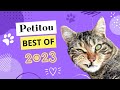 Petitou best ouf 2023