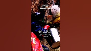 وأوحى ريك الى النحل أن اتخذي من الجبال بيوتا_تلاوة عذبة من سورة النحل_الشيخ فارس عباد_ quran