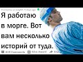 Один день из жизни патологоанатома