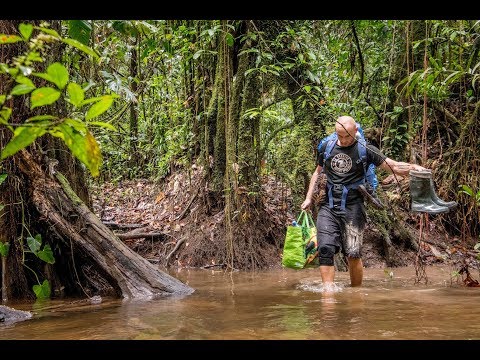 Expédition : Le Talwaken dans les Monts Tumuc Humac (Février 2019)