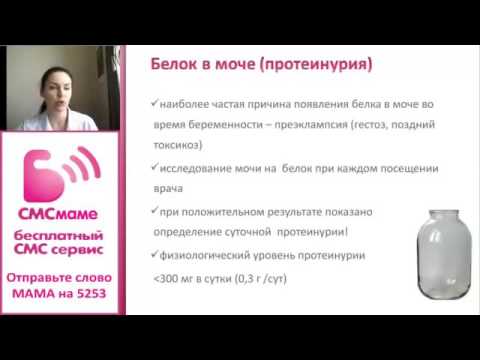 Беременность и почки. Анализы мочи во время беременности. Чем опасен белок в моче при беременности?