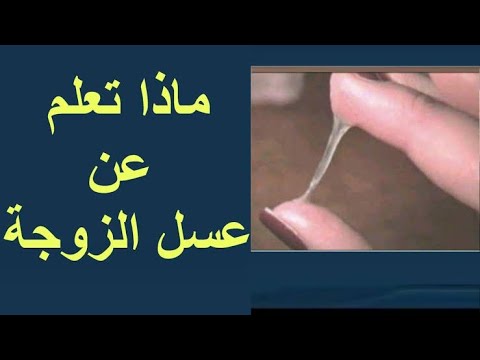 عسل المراه || وكيفية الوصول إلى النشوة الجنسية, شربت ماء زوجتي, هل يجوز للر...