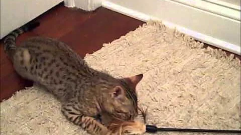 Watch the video about F3 boy 2