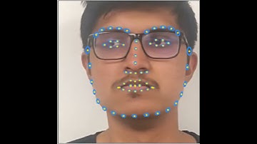 LUVLi Face Alignment Demo (CVPR 2020)