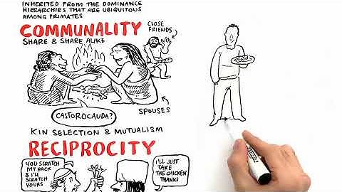 RSA ANIMATE: Language as a Window into Human Nature