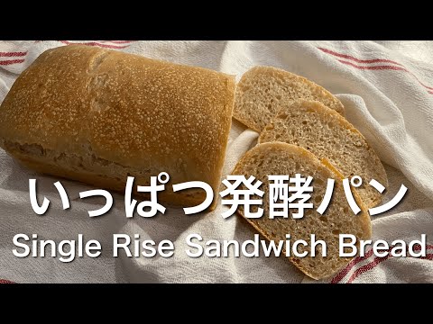 SUB) 発酵一回こねないパン！天然酵母パン初心者・忙しい人へ画