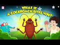 Understanding Cockroach Bites