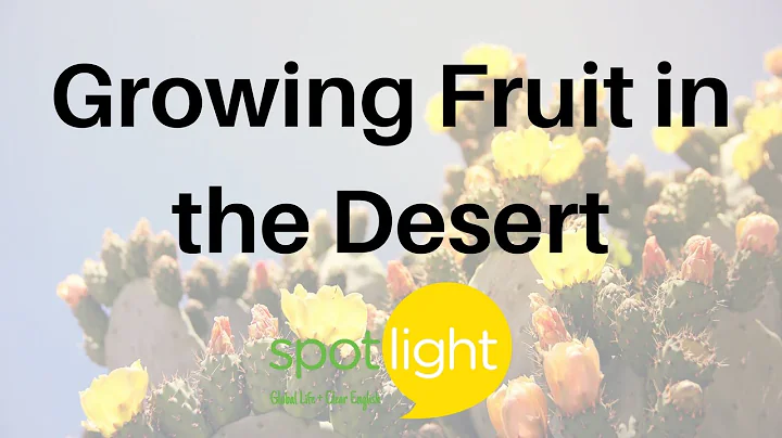 Growing Fruit in the Desert | practice English with Spotlight - DayDayNews