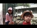 Popular Videos - Hirakawa Zoo & 鹿児島市平川動物公園 の動画、YouTube動画。