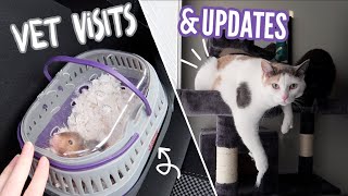 Vet visits | Pet Vlog!