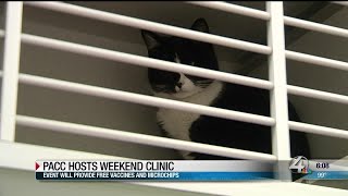 PACC hosting free microchip and vaccine clinic